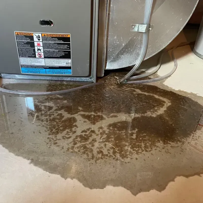 Appliance Leak Cleanup in Sparkill, NY